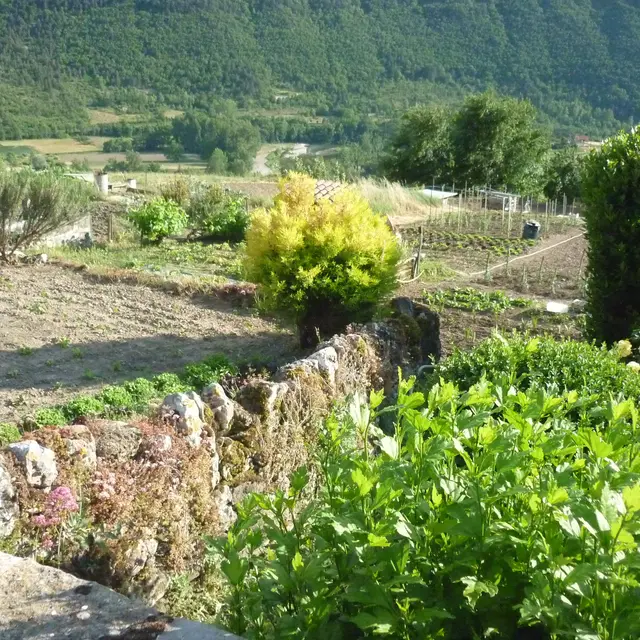 Jardins potagers c JL Bringuier.JPG