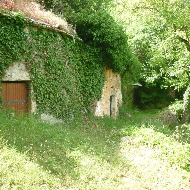 Caves à vin cJL Bringuier 2.JPG