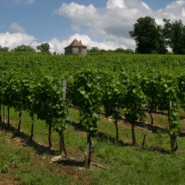 6-PROD-VindeGlanes-Glanes-.JPG