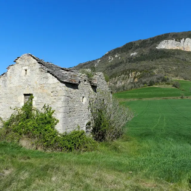 sentier cerise 7.jpg