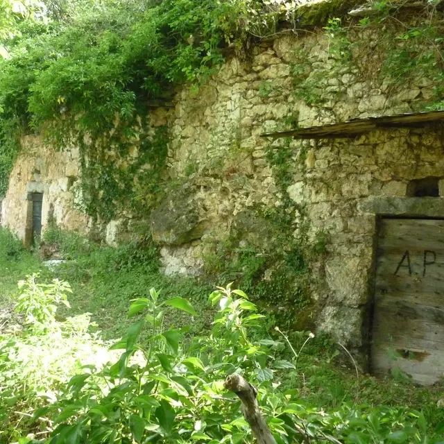 Caves à vin cJL Bringuier 1.JPG