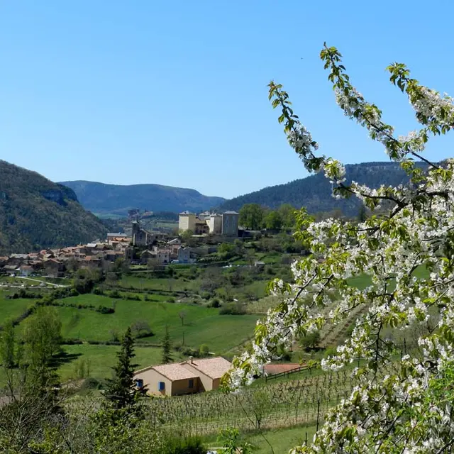 vue sur Mostuéjouls 2.jpg