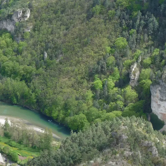 FF Gorges.JPG