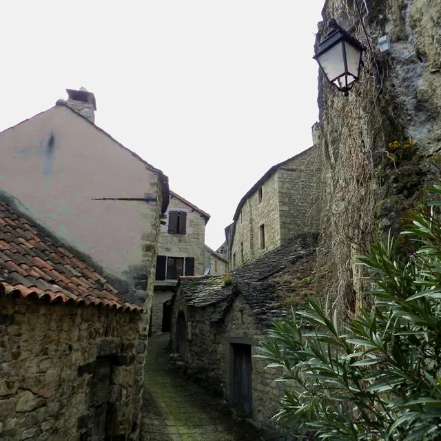 caves à vin 2.jpg