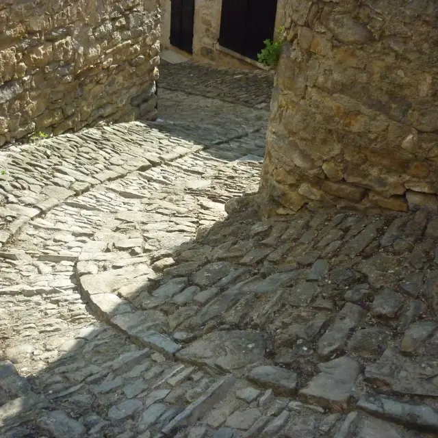 Calade avec Pas d'âne cJL Bringuier.jpg
