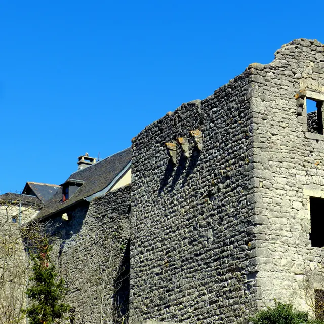 vestiges 2.jpg
