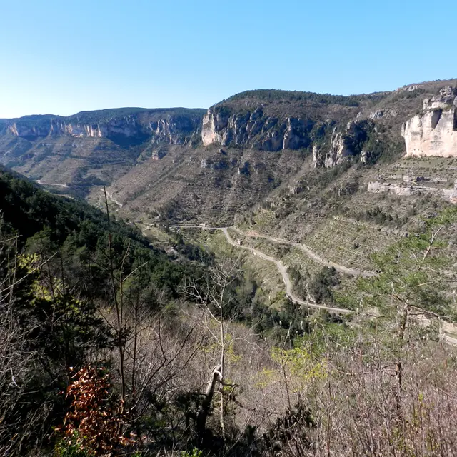 Gorges de la Jonte 2.jpg