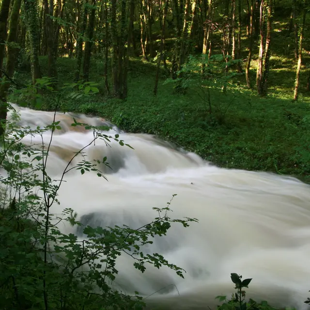 Ruisseau (2).jpg