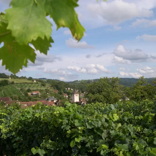 VindeGlanes-Glanes-N°1.JPG
