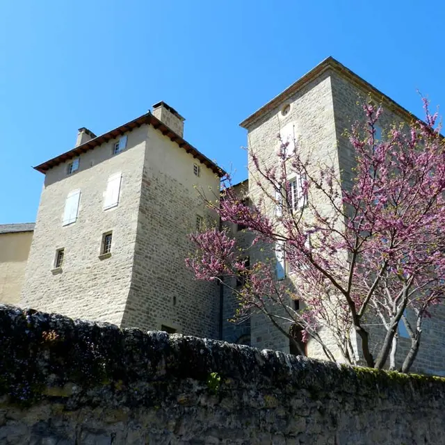château 3.jpg