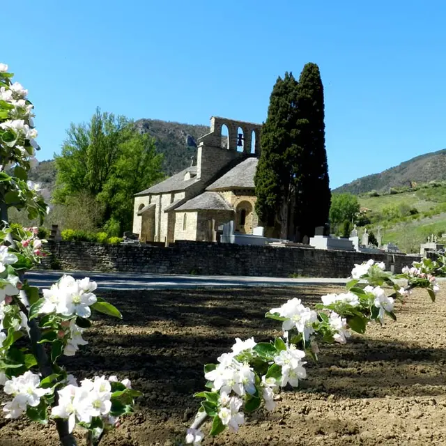 notre-dame-des-champs 1.jpg
