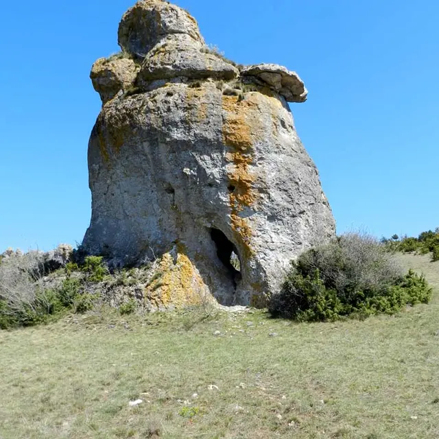 paysage 5.jpg