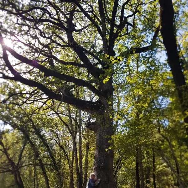 Arbre et H 1©Cristina SANS