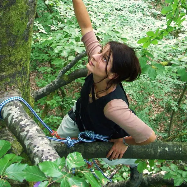 Campagne - Grimpe à l'Arbre