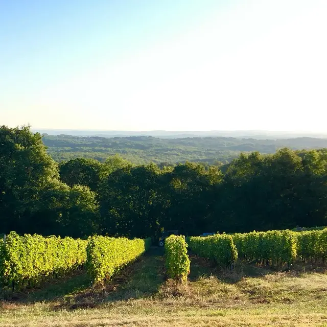 Domaine Chante l'Oiseau