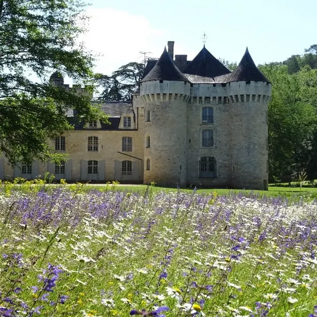 Le parc fleuri du château