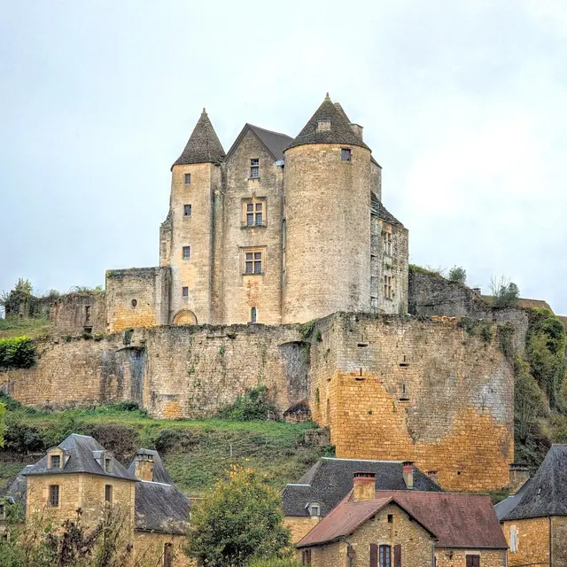 Chateau de Salignac (1)