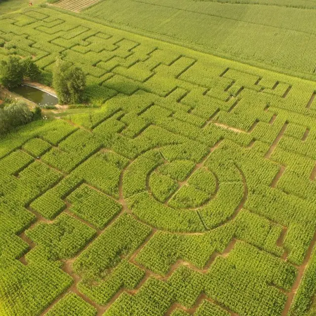 Labyrinthe de Maïs des Châteaux