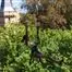 LOI-STLeonAccrobranche-24012024--OTLDVV--3-photo8
