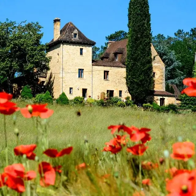 Les fleurs de la feuillade