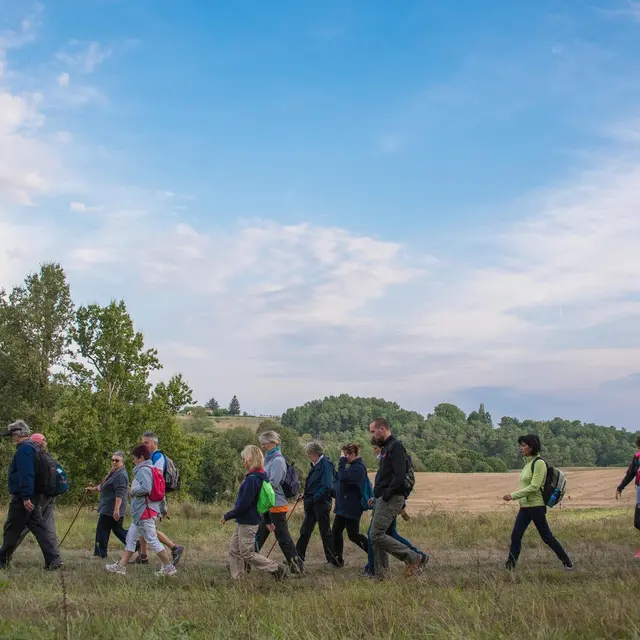 Transhumance Dan Courtice (20)