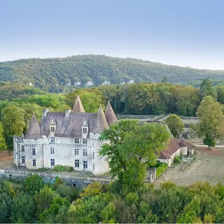 藤田嗣治、【Salon du chateau de Marzac】 Chateau de Marzac
