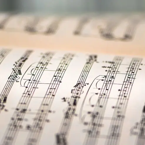 music-book-6168179_1280©Ri Butov de Pixabay