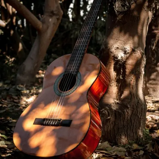 marcelo-pinto-ozjisLGPAOs-unsplash©Marcelo Pinto sur unsplash