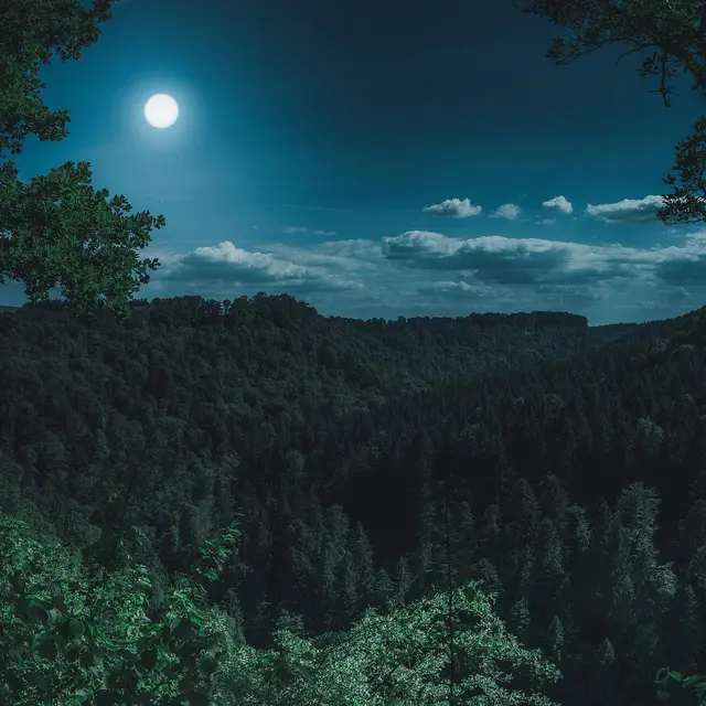nature-3194001_1920