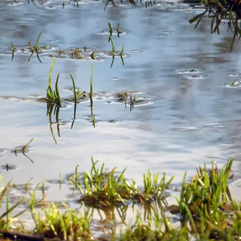 af-audiovisuel-water-2395460_640