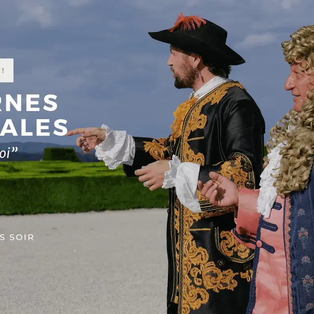 affiche chateau