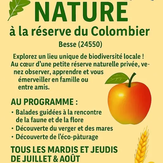 affiche animation nature