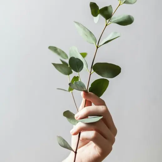 alex-lvrs-4N5huJDOydQ-unsplash©Alex Lvrs sur unsplash