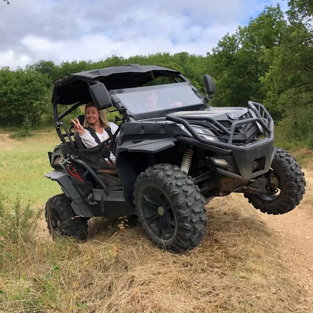 buggy