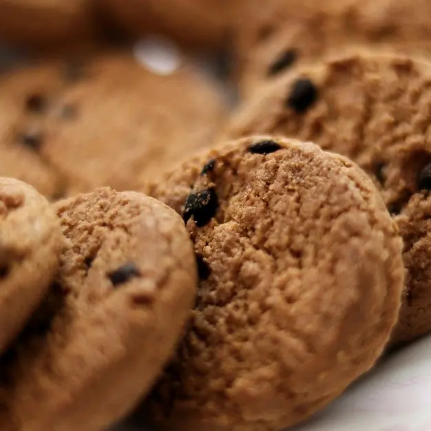 biscuits-habib-dadkhah-