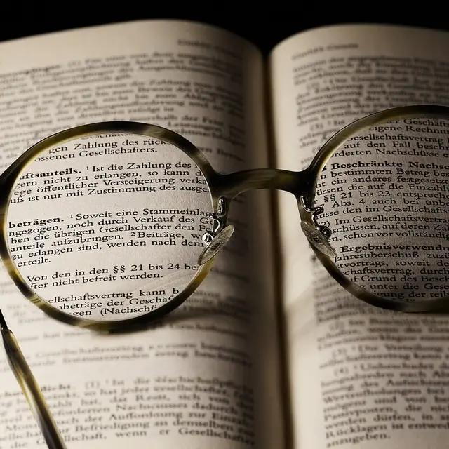 book©Felix Wolf de Pixabay