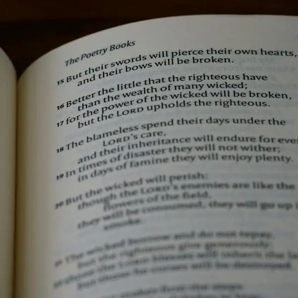 brett-jordan-xPKrOzc94eA-unsplash©Brett Jordan sur unsplash