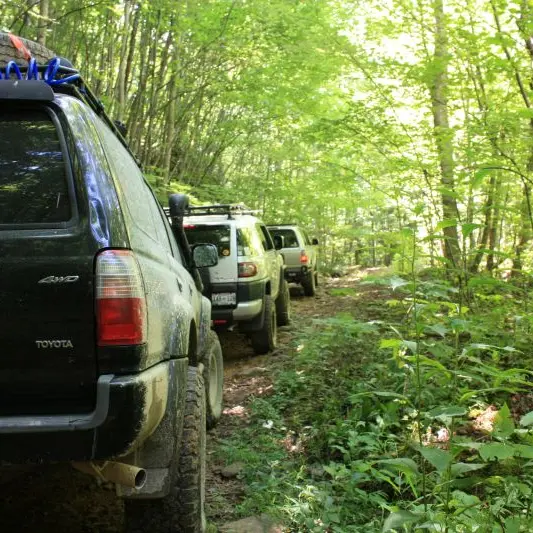 brice-cooper-J-hLqO9UQkc-unsplash©Brice Cooper sur Unsplash