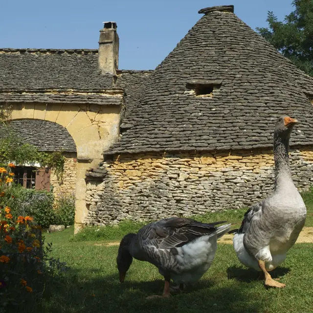 Cabanes du Breuil