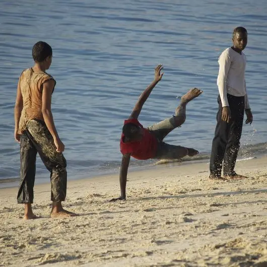 capoeira©Jacqueline Rensen de Pixabay