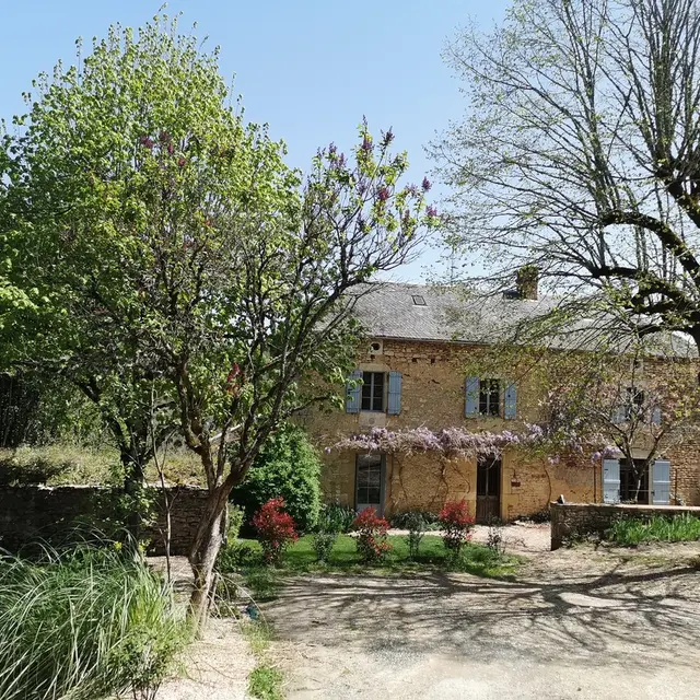 chêne 01