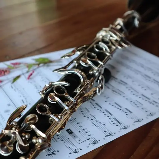 clarinet©Gyuhyechoi de Pixabay