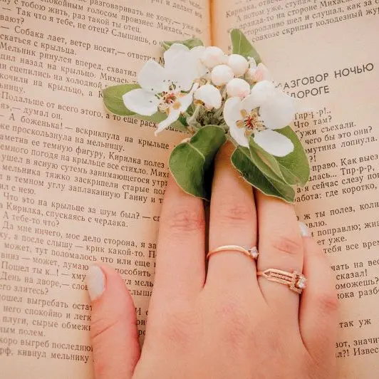 dashkabudich-book©pixabay