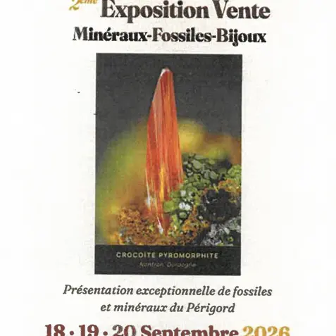 expo minéraux fossiles