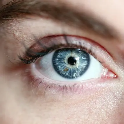 eye-3805227_640