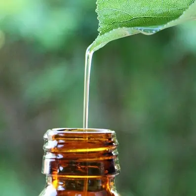 essential-oil-5982237_640