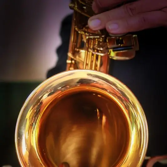 fietzfotos-brass-3294559©Albrecht Fietz de pixabay