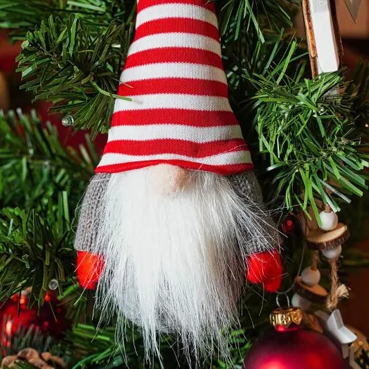 fir-tree©Anrita de pixabay