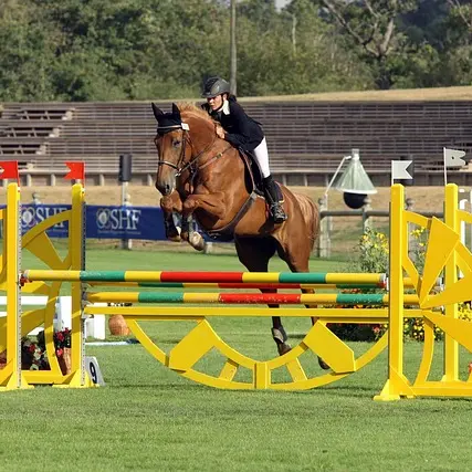 hubertjean-competition-1037690_640 (1)