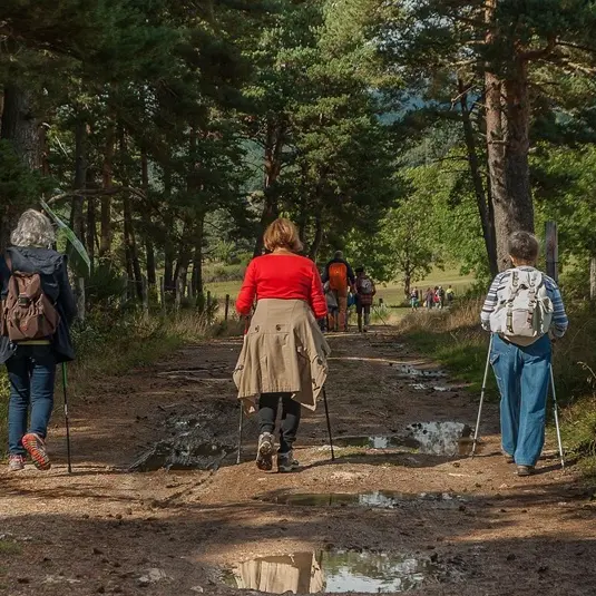 hikers©Jacqueline Macou de Pixabay